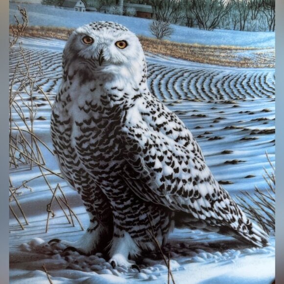 VINTAGE 1989 Knowles Limited Edition Collector Plate Snowy Owl by Jim Beaudoin - Picture 3 of 6
